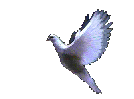 dove1.gif (38556 bytes)